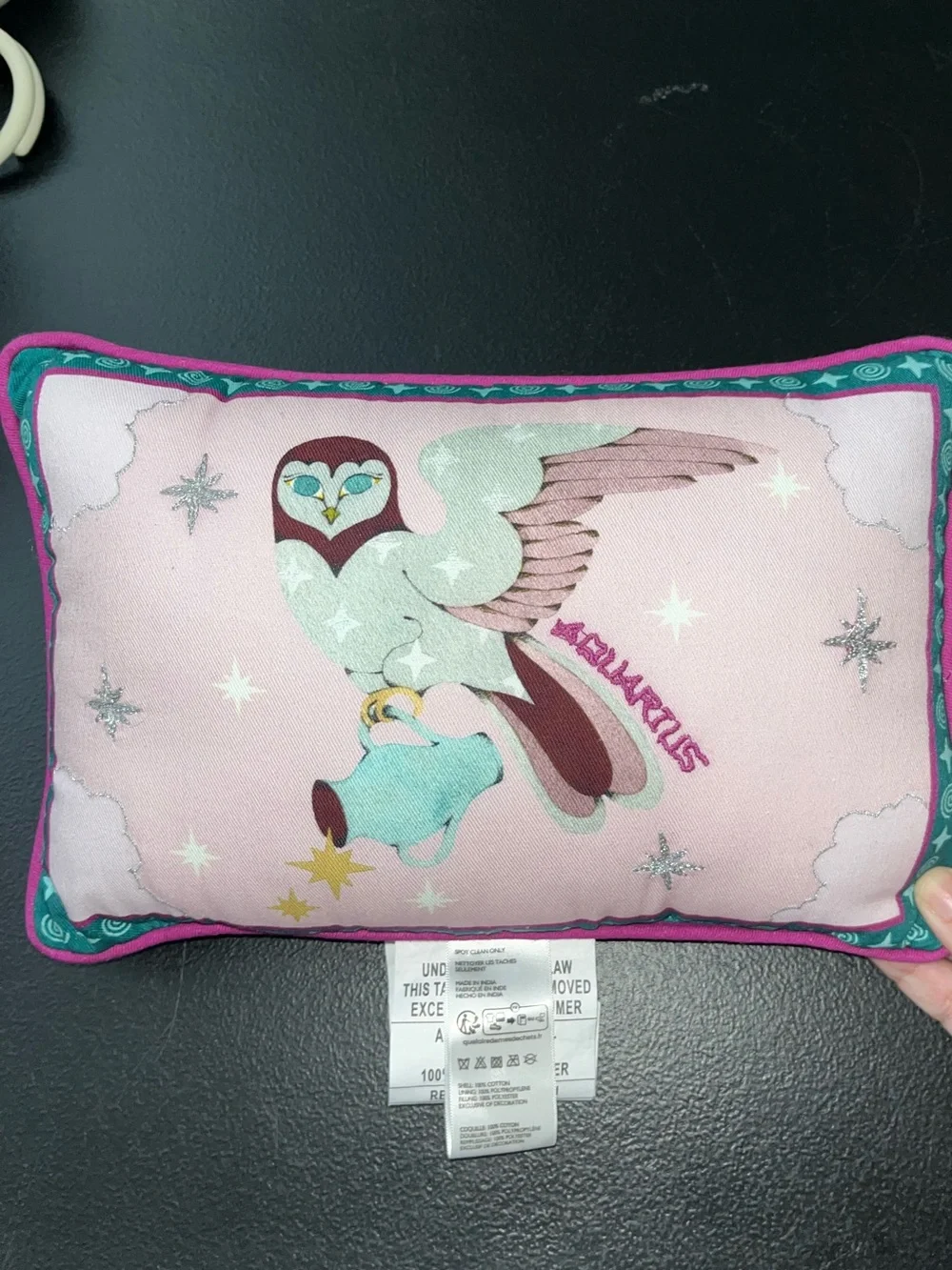 Lou Benesch X Anthropologie Miniature Stargazer embroidered pillow